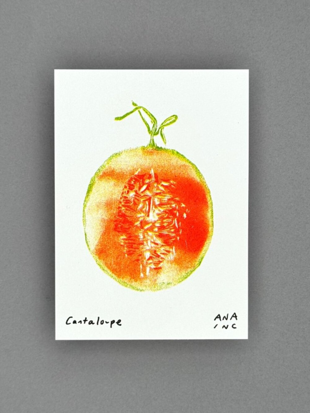 Ana Inciardi Cantaloupe Mini Art Print